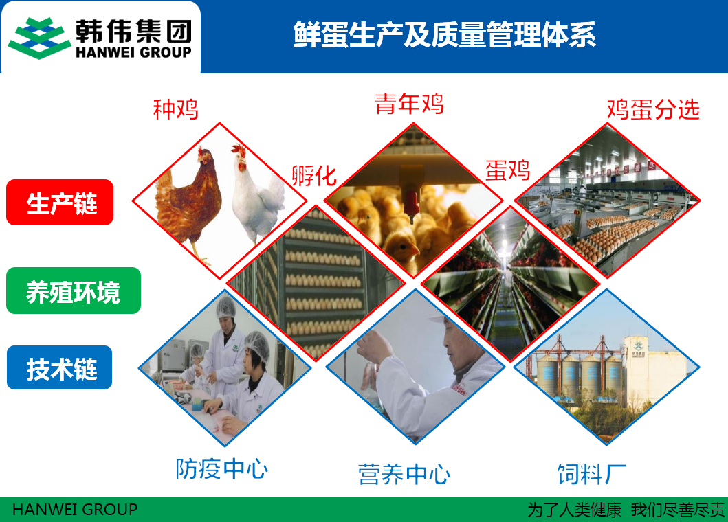 韓偉集團鮮蛋生產(chǎn)及質(zhì)量管理體系