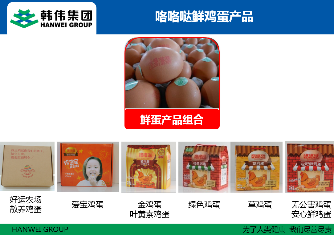 韓偉集團咯咯噠鮮雞蛋產(chǎn)品